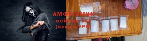 стаф Горняк