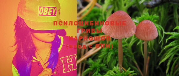 прущий лед Армянск