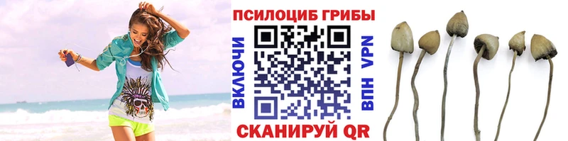 купить наркотики сайты Отрадная Псилоцибиновые грибы прущие грибы